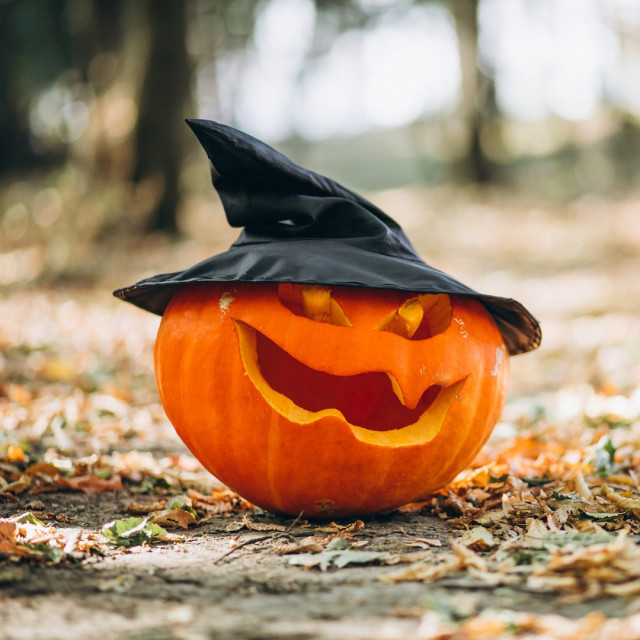 Halloween - visites, ateliers...