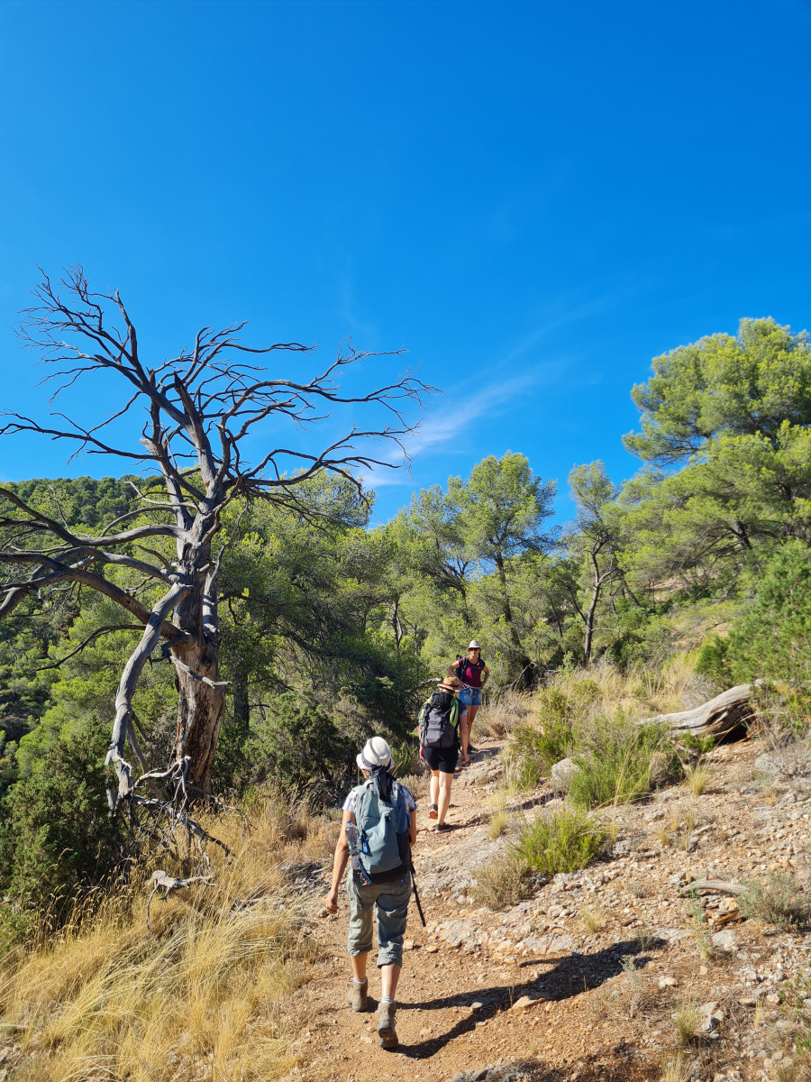 Balade Cezanne entre pinÃ¨de et carriÃ¨res de BibÃ©mus