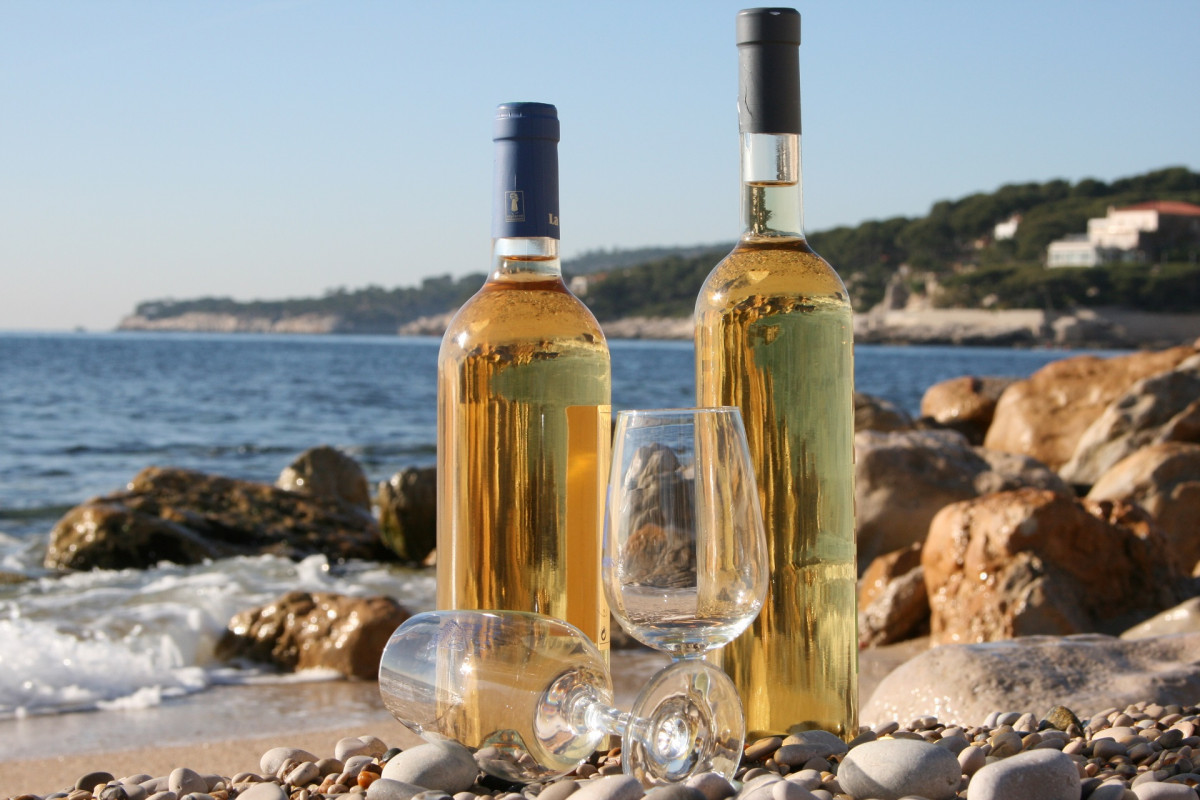 Balade oenologique à Bandol et Cassis