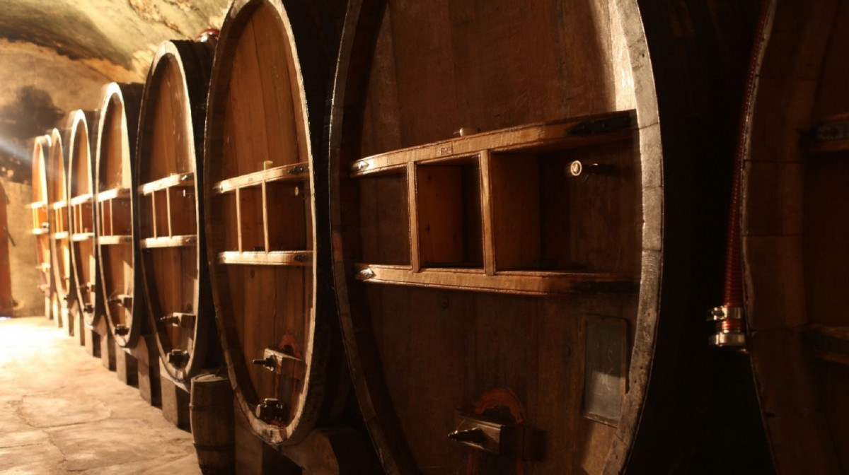 Balade oenologique à Bandol et Cassis