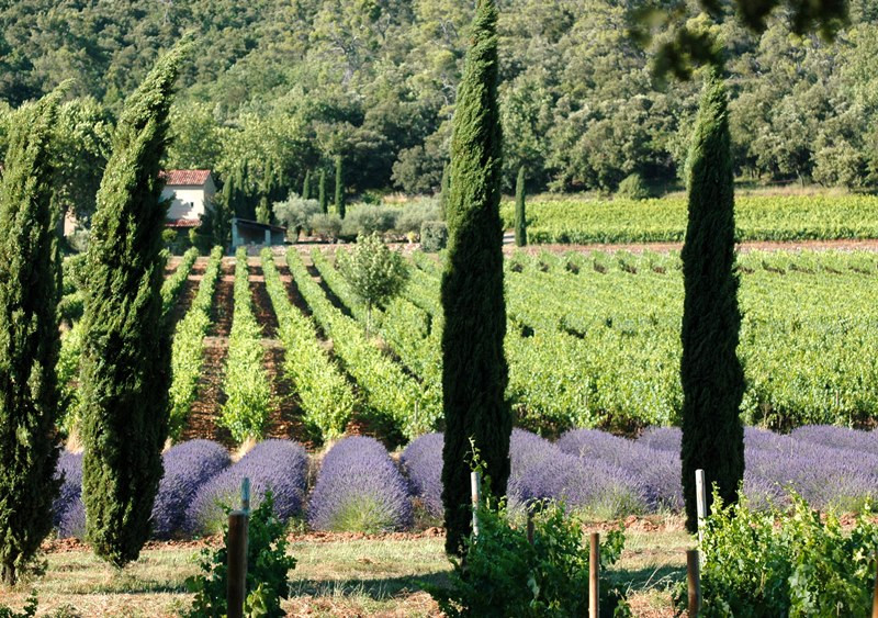 Coteaux d'Aix - Luberon aix en provence office de tourisme centrale de réservation