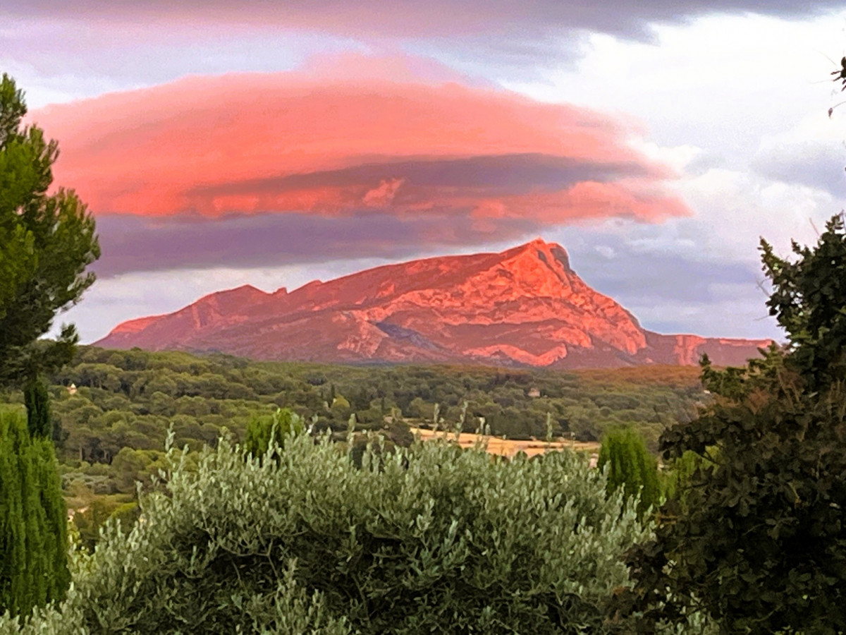 CEZANNE AU JARDIN DES PEINTRES