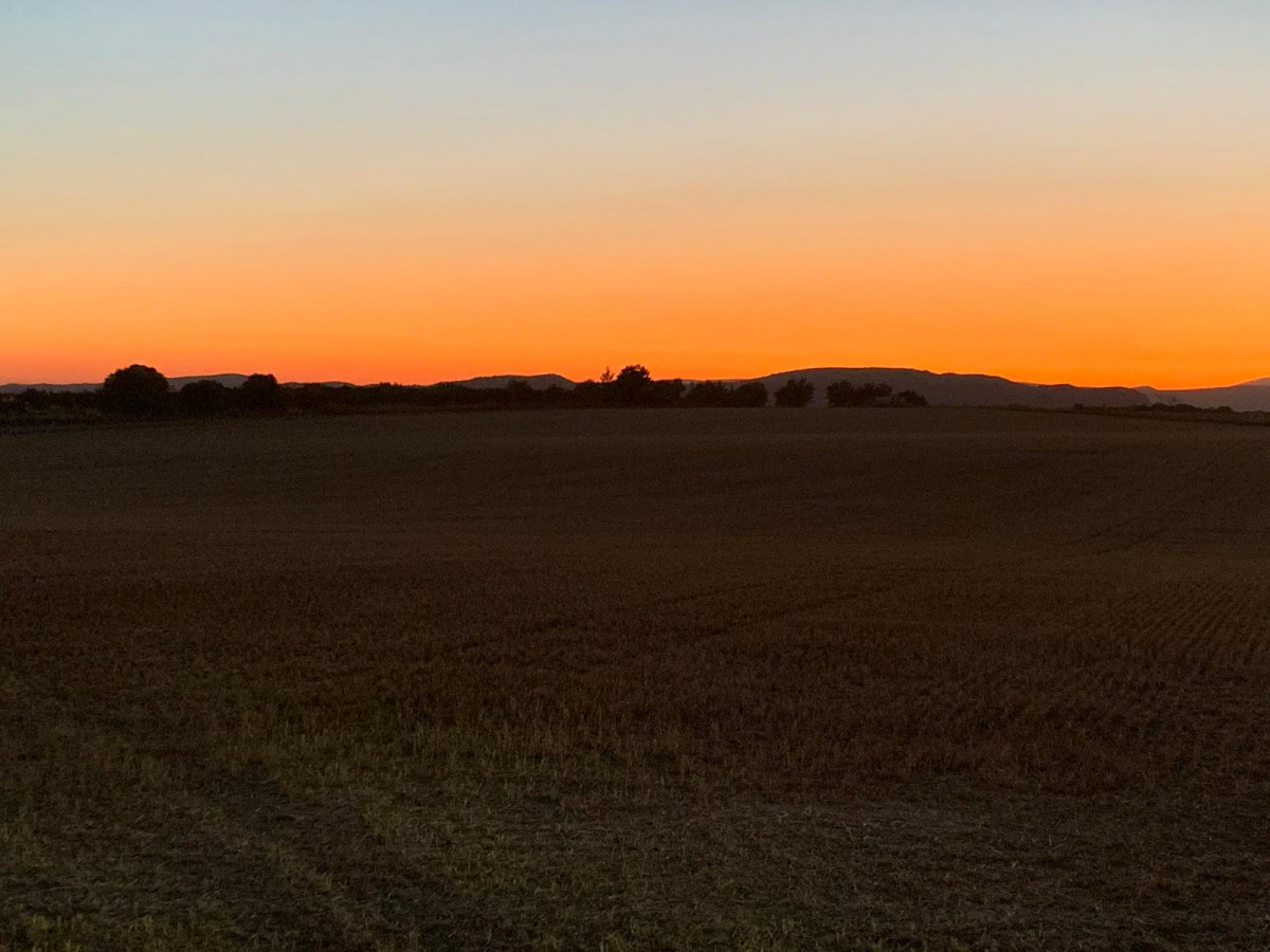 suzana-sunset-218251