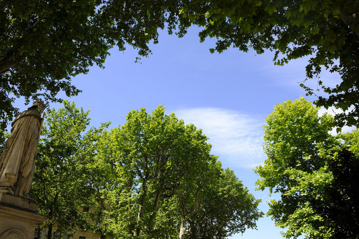 dessiner-dans-les-rues-d-aix-credits-pauline-betranvourt-09-217910