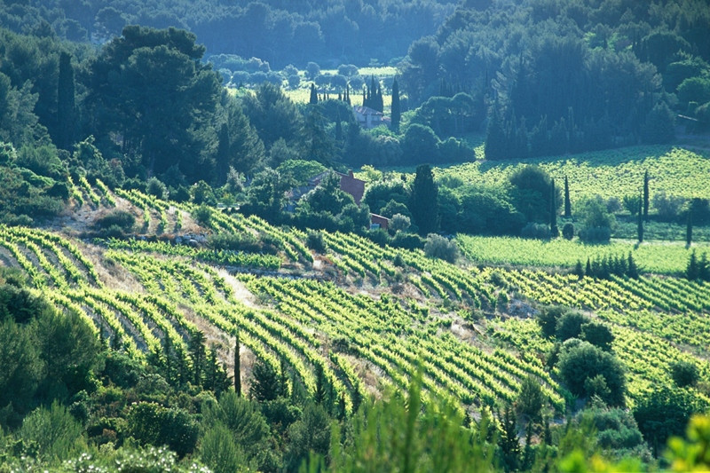 Winetour Bandol-Cassis tourist office booking center  aix en provence 