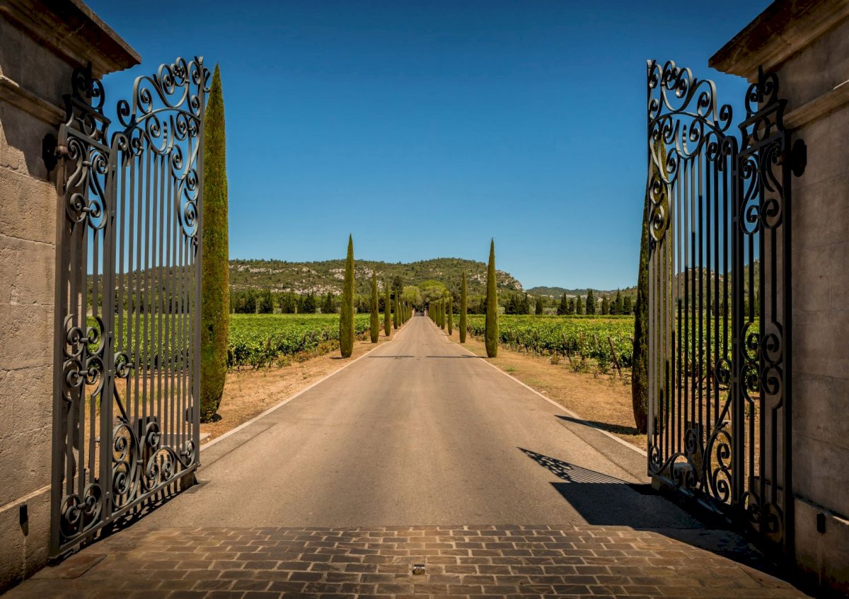EXCURSION  Les Vins de Provence