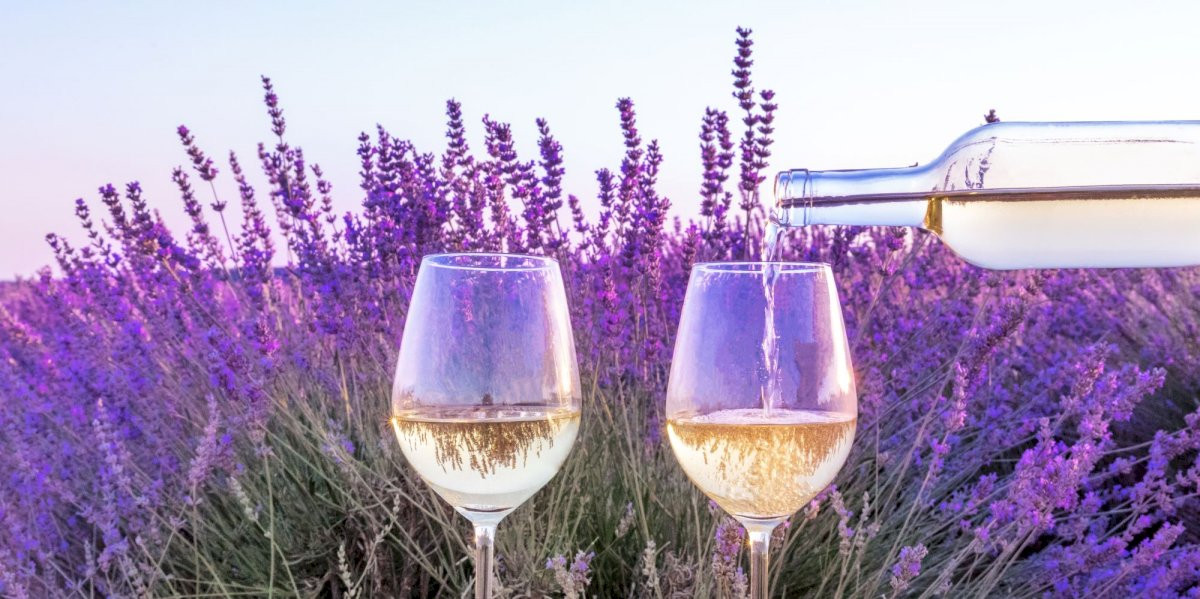 EXCURSION  Les Vins de Provence