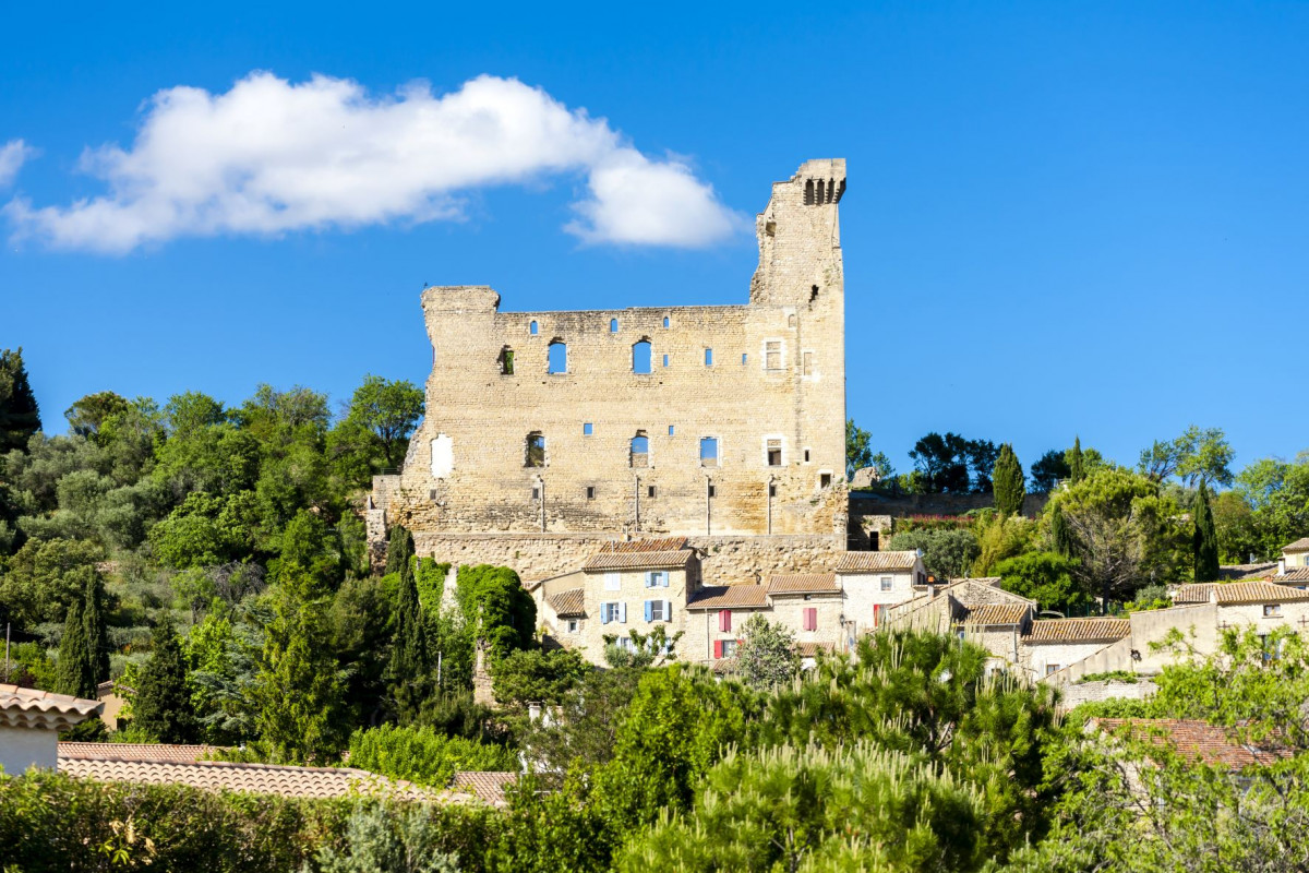  Excursion : Vignoble Chateauneuf du Pape