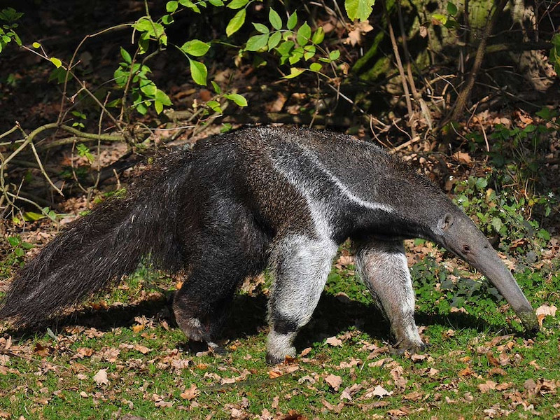 Parc animalier de la barben