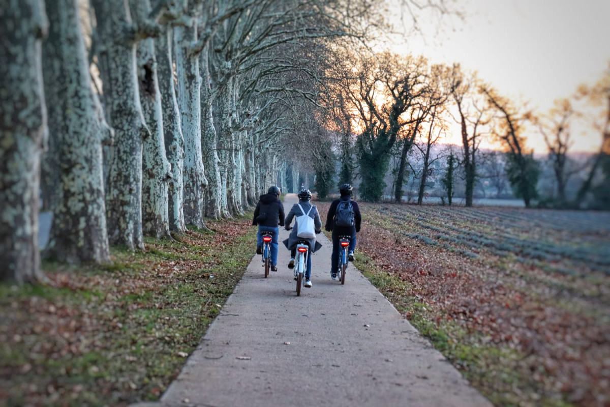 Balade à vélo électrique : apéritif improvisé dans un paysage provençal