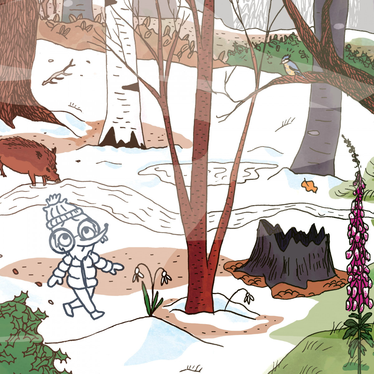 Le Super Weekend des forêts (extrait) © Gaëlle Alméras - Maison Georges