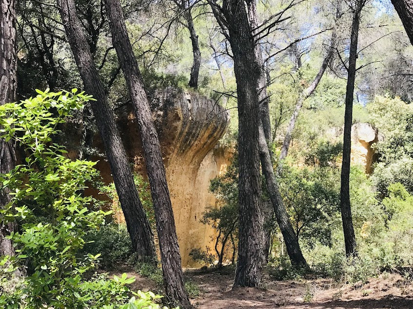 LES CARRIERES DE BIBEMUS