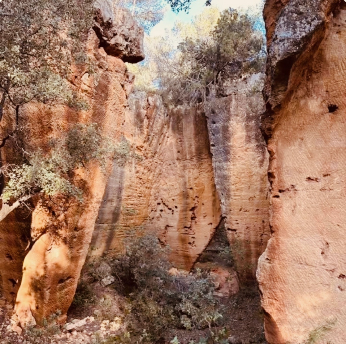 LES CARRIERES DE BIBEMUS