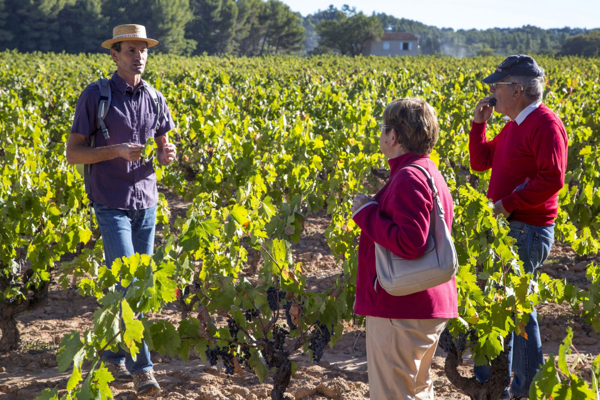 Les vignobles au pays de CÃ©zanne