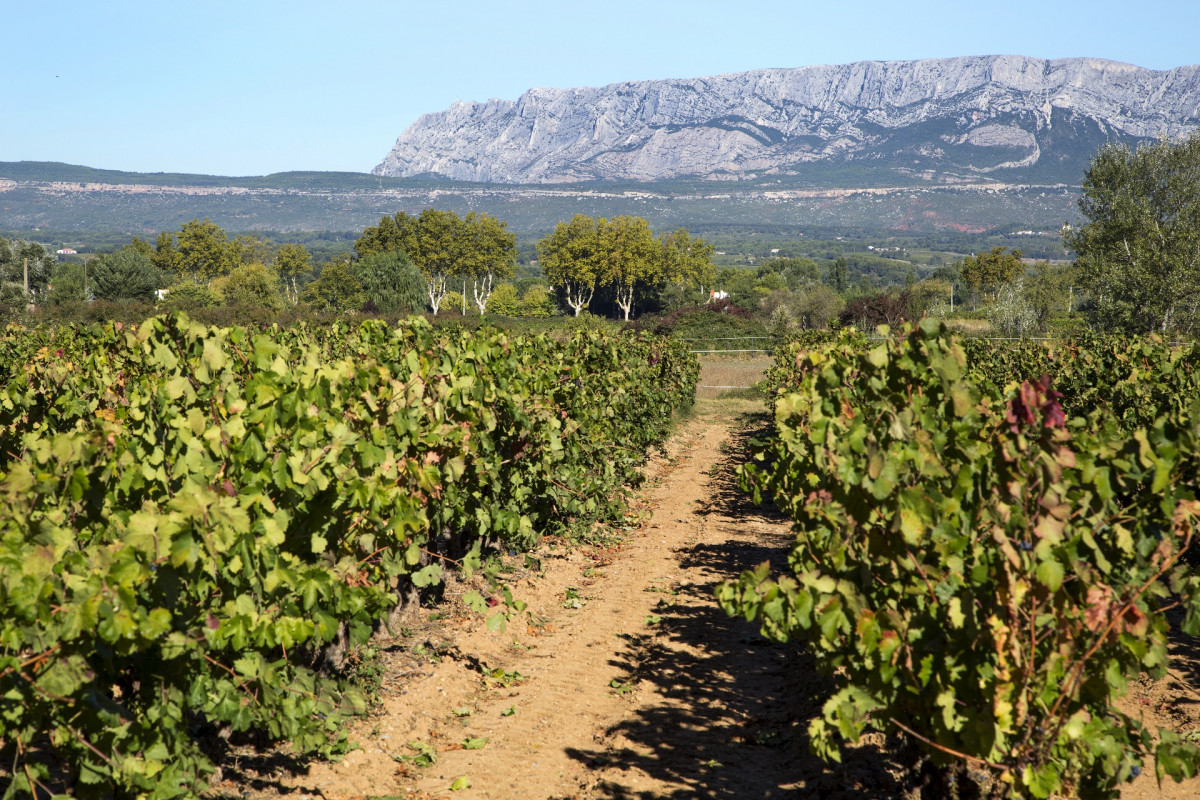 Les vignobles au pays de CÃ©zanne