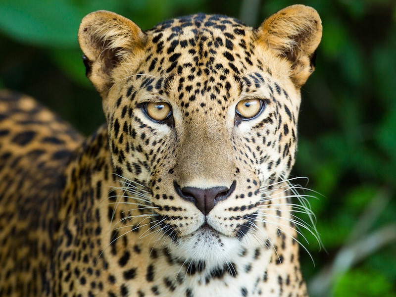 Parc animalier de la barben