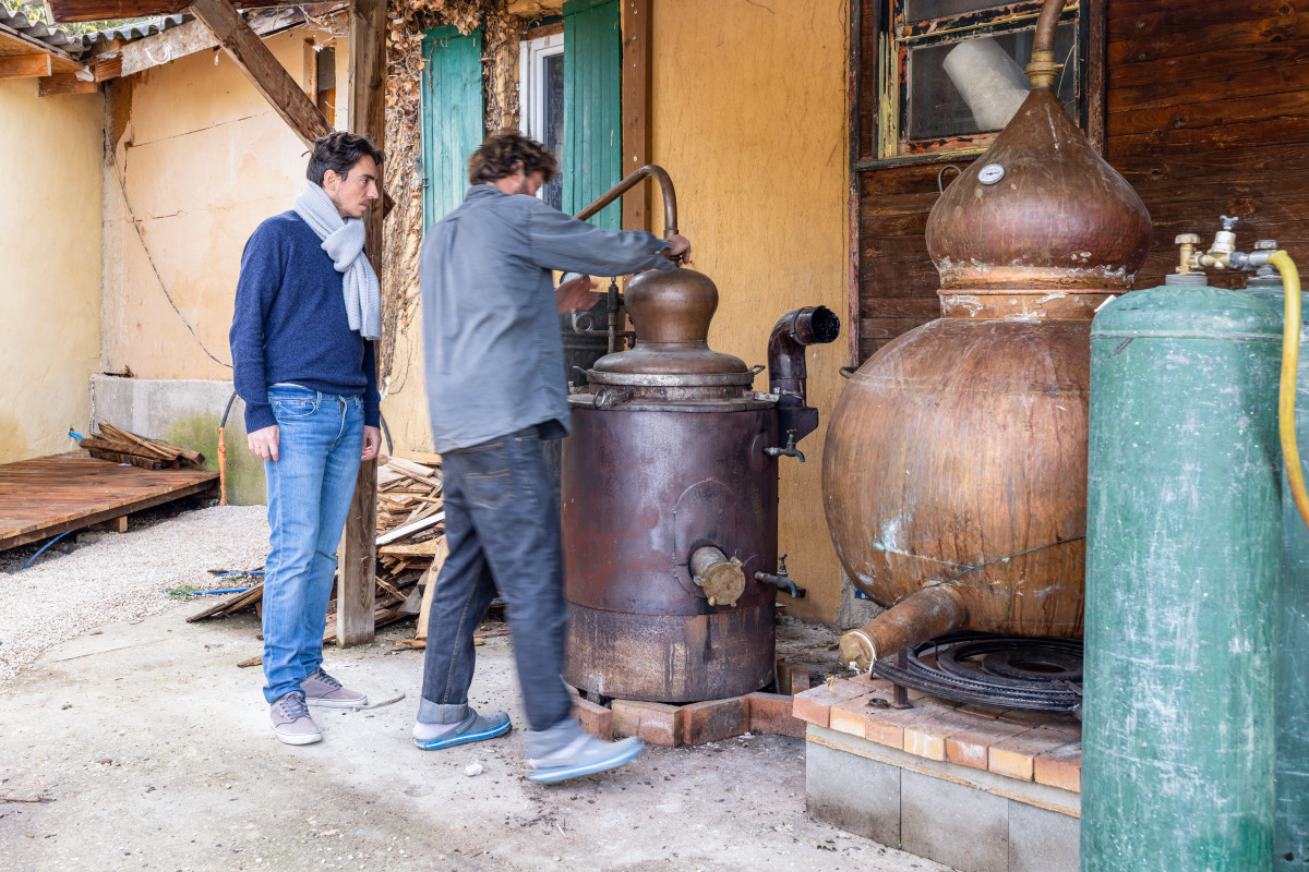 PASTIS TOUR - Atelier collectif et balade-dÃ©couverte des plantes aromatiques