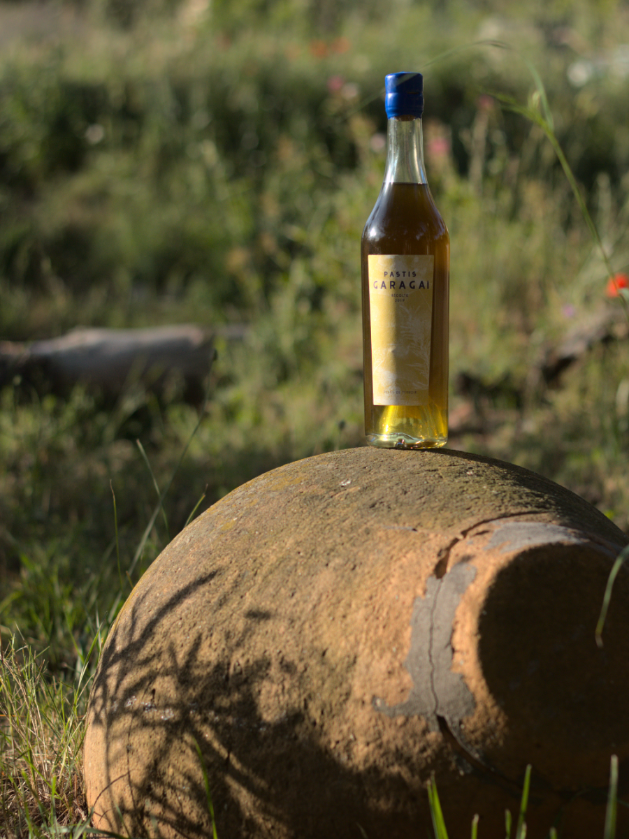 PASTIS TOUR - Atelier collectif et balade-dÃ©couverte des plantes aromatiques