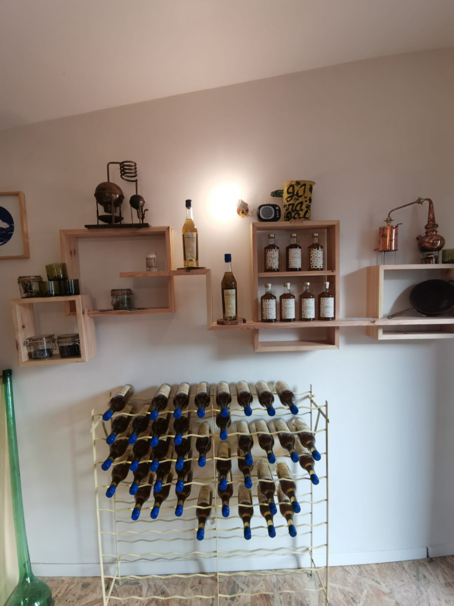 PASTIS TOUR - Atelier collectif et balade-dÃ©couverte des plantes aromatiques