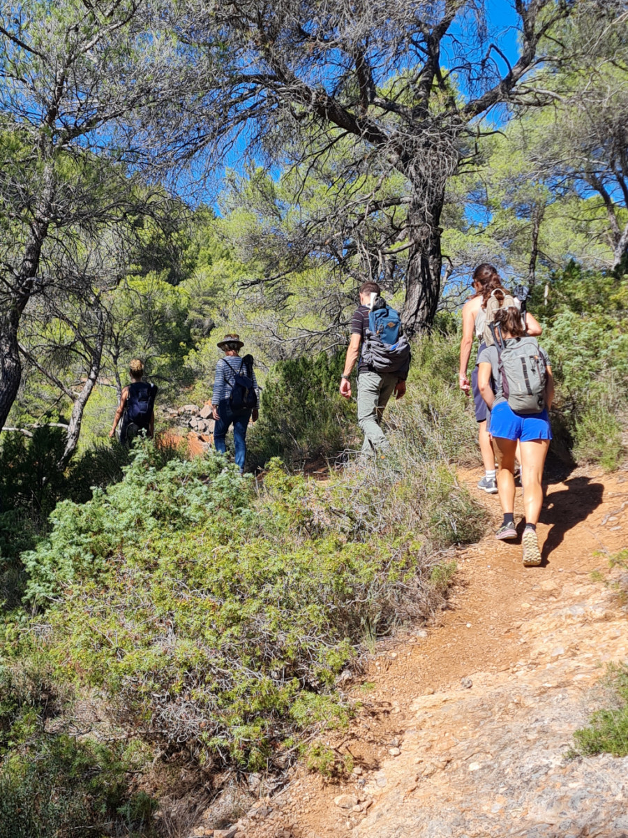 Pratique artistique en plein air Ã  la maniÃ¨re de Cezanne