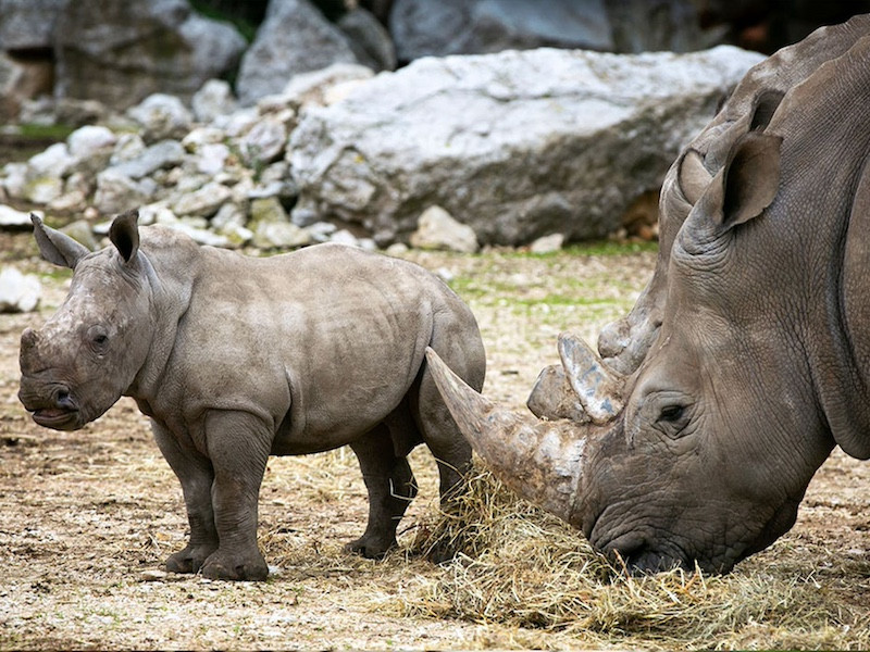 Parc animalier de la barben