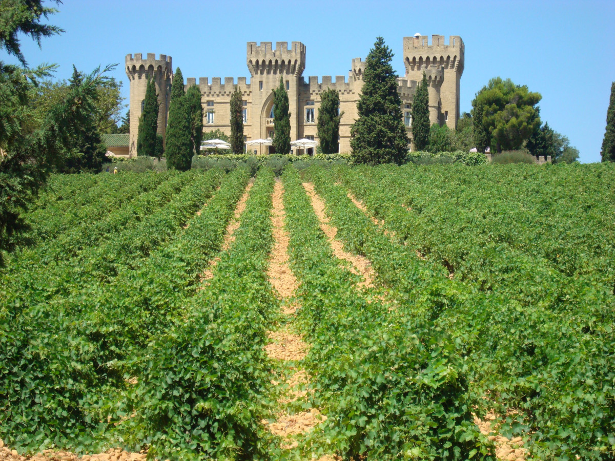 Vignoble Chateauneuf-du-Pape - op5