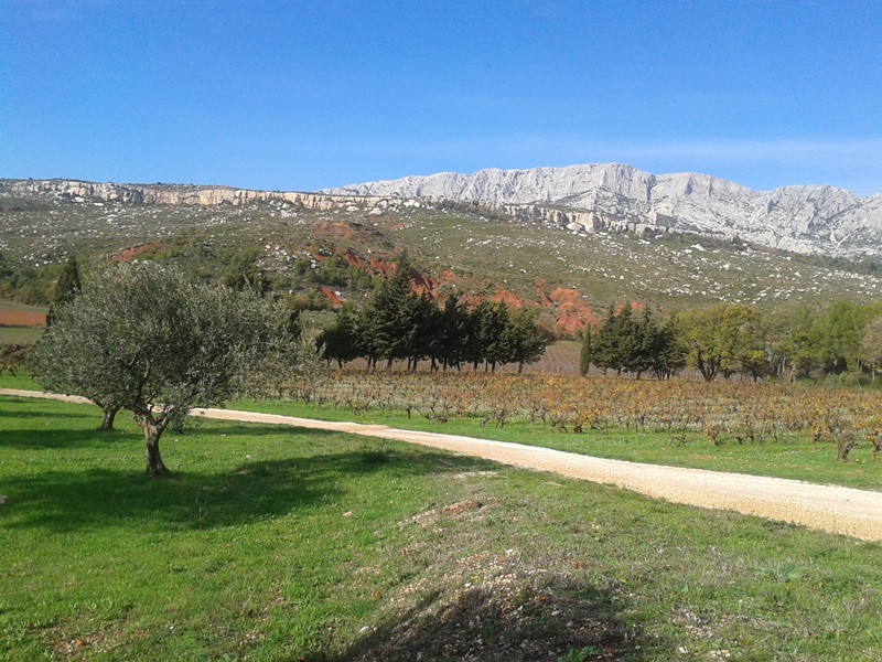 Vignobles au pied de la Sainte-Victoire