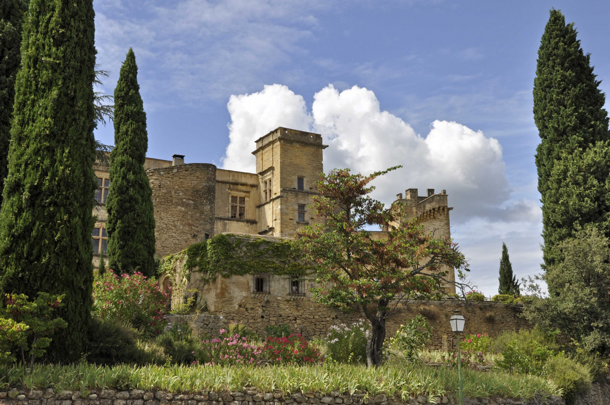 Villages of the Luberon & olive oil mill tour - op2