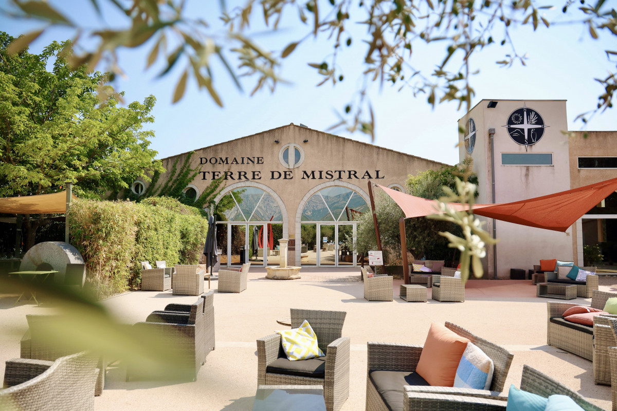 Visit of the vineyards of Terre de Mistral followed by a tasting session - © Terre de Mistral tdm2025-ext4-218284