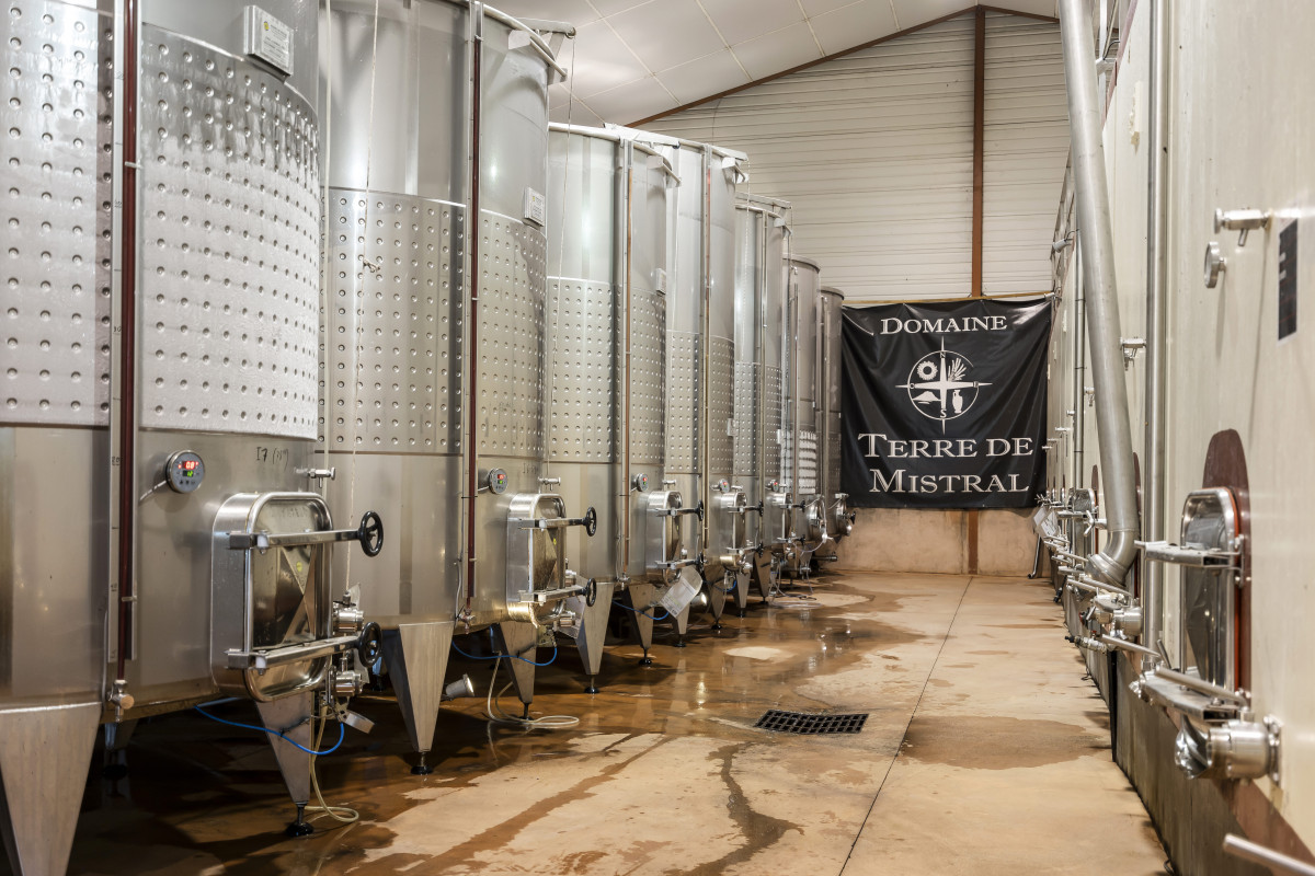 Visit of the vineyards of Terre de Mistral followed by a tasting session - © Terre de Mistral dsc08828-218285