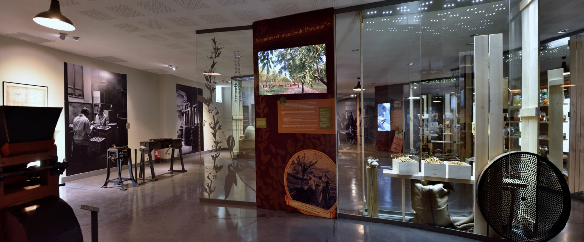 VISITE DU MUSEE DU CALISSON