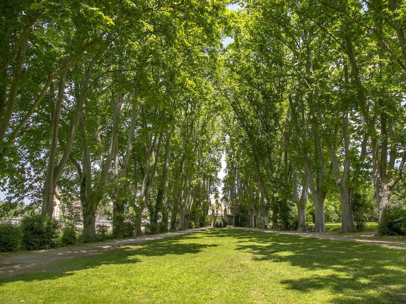 Visite guidÃ©e en franÃ§ais de la bastide du Jas de Bouffan
