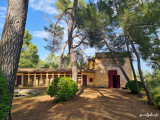 Domaine Saint-Joseph - Atelier François Aubrun : visite guidée de l'exposition Jean Messagier, l'été continué