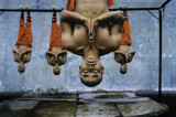 Exposition STEVE McCURRY - Regards