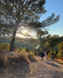 Randonnée dans lâintimité de Sainte-Victoire