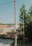 TERRE UGO - Visite des champs de lavande