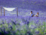 terre-ugo-visuels-800x600-218213