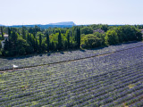 terre-ugo-visuels-800x60011-218221