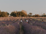 terre-ugo-visuels-800x6002-218212