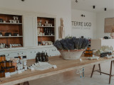 terre-ugo-visuels-800x6005-218215