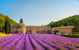 Villages of the Luberon & olive oil mill tour - op2