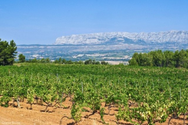 Côtes de Provence - Sainte Victoire