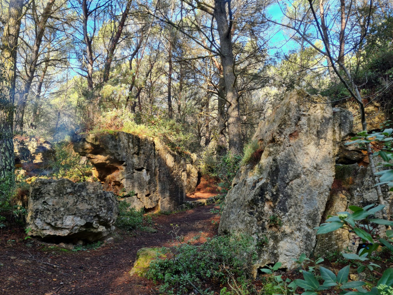 Autour des carriÃ¨res de BibÃ©mus et Cezanne