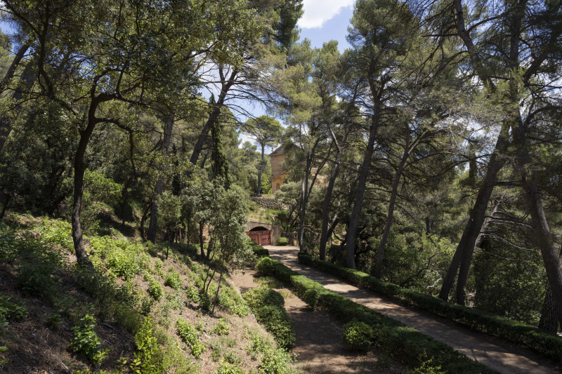 Domaine Saint-Joseph : exposition François Aubrun