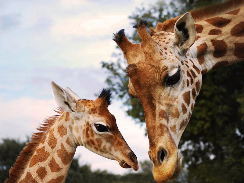 Parc animalier de la barben