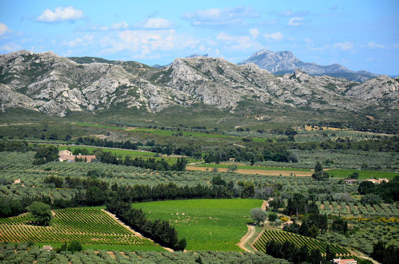 Journée découverte Alpilles - Vin et huile d’olive autour des villages de Saint Rémy et des Baux de Provence