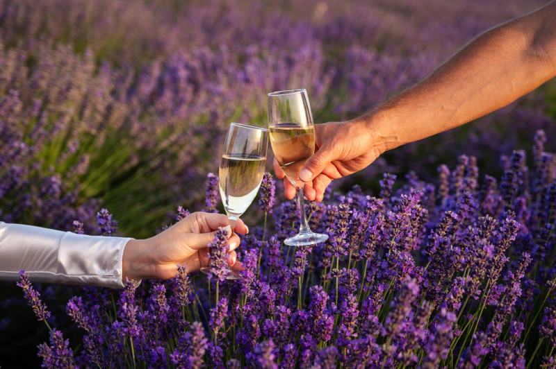 Rêve de Lavande - Champs de Lavande & Champagne