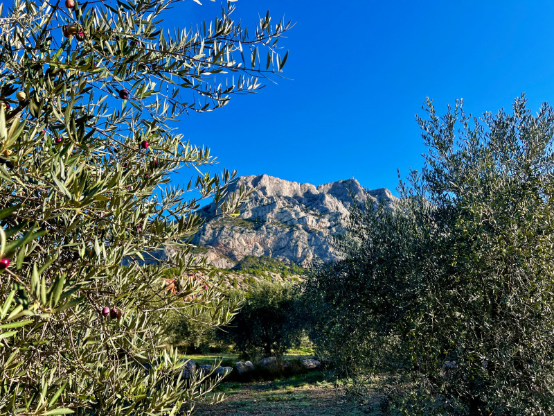 RandonnÃ©e Sainte-Victoire