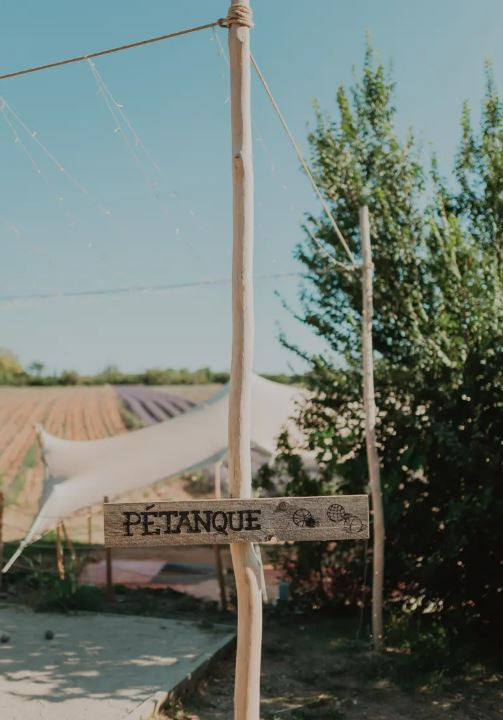 TERRE UGO - Visite des champs de lavande