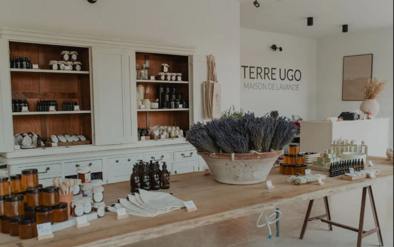 TERRE UGO - Visite des champs de lavande
